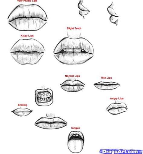 Since You Guys Don T Like Selfies Here S Some More Useful Stuff Lips