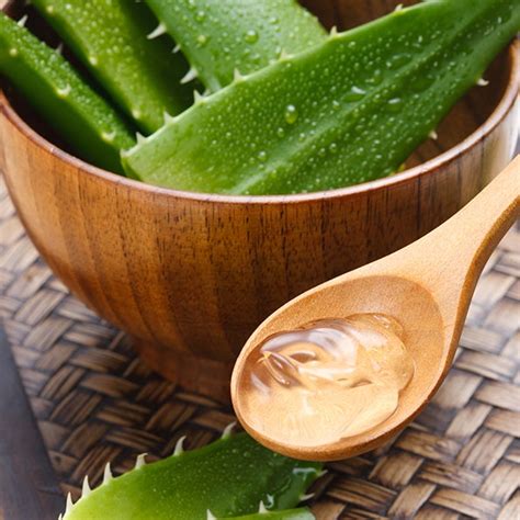 How Aloe Can Give Your Sex Life A Boost Self
