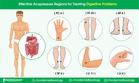 Best Acupressure Points To Treat Digestive Problems Modern Reflexology