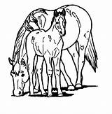Paarden Pferde Ausmalbilder Colorat Cai Dieren Malvorlagen Yeguas Cheval Planse Equine Coloriages Tiere Horse 2275 Cal Pferd 1001 Honden Animierte sketch template