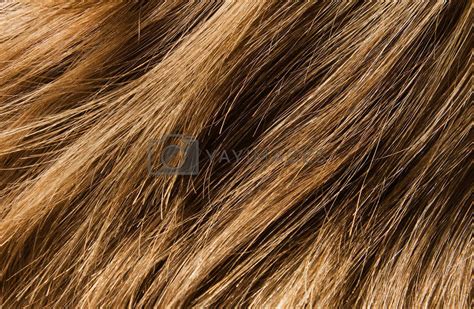 hair texture  goodday vectors illustrations   yayimages