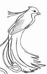 Phoenix Bird Coloring Pages Printable Rising Template Getcolorings Colorin sketch template
