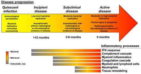 Progression From Infection To Pulmonary Tuber Eurekalert