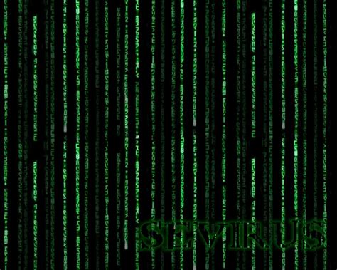 Animated Matrix Wallpaper Windows 10 Wallpapersafari