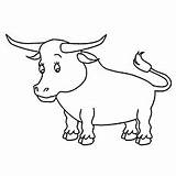 Bull Coloring Brahman 21kb 230px sketch template