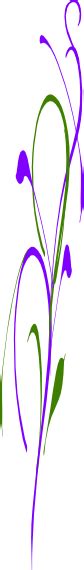 green  purple swirl clip art  clkercom vector clip art