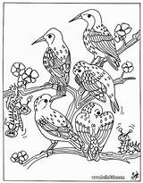 Pajaros Ausmalen Paon Pajaro Vogel Pintar Oiseaux Pájaros Hellokids Coloriages Paginas Ayudarte Mamá Papá Preferida Greatestcoloringbook K7v Pintarcolorear Teenagers Adultos sketch template