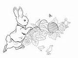 Rabbit Peter Coloring Pages Potter Beatrix Dog Easter Hunting Drawing Hunt Egg Dirty Harry Color Printable Getdrawings Getcolorings Drawings sketch template