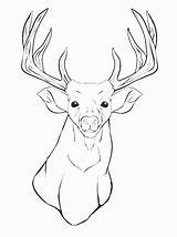 Elk sketch template