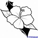 Flower Outline Tattoo Hawaiian Turtle Samoan Draw Clipart Drawings Coloring Flowers Designs Drawing Easy Tribal Polynesian Sea Lily Tattoos Step sketch template