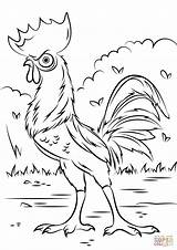 Pages Coloring Rooster Getdrawings Adults sketch template