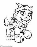 Paw Colorir Patrulha Canina Everest sketch template