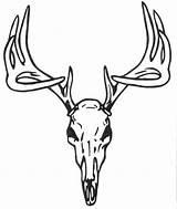 Stag Tattoos Reindeer Skulls Cliparts Paintingvalley Petpress sketch template