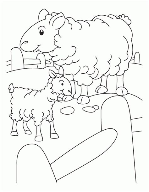 lost sheep coloring pages coloring home