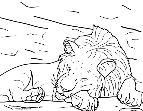 zoo coloring pages  admittance