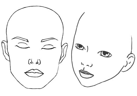 face drawing outline  getdrawings
