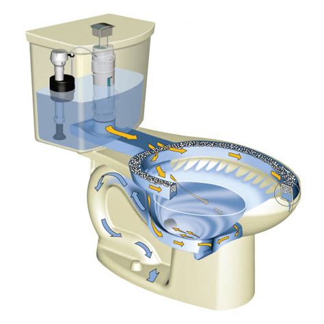 american standard  hoption siphonic dual flush elongated  piece toilet bone