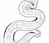 Snake Garter Python Burmese Clipartmag Garters Plains sketch template