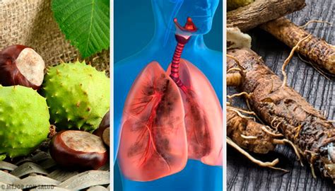 4 remedios caseros para fortalecer tus pulmones y respirar mejor
