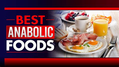 foods   anabolic diet liveanabolic