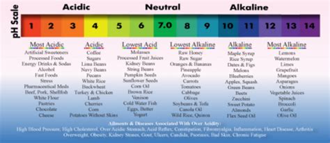 hows  ph   body acidic  alkaline