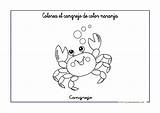 Naranja Cangrejo Fichas Comparte Escuelaenlanube sketch template
