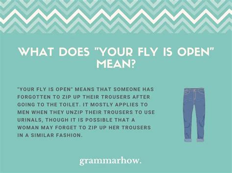 your fly is open meaning and facts british vs american