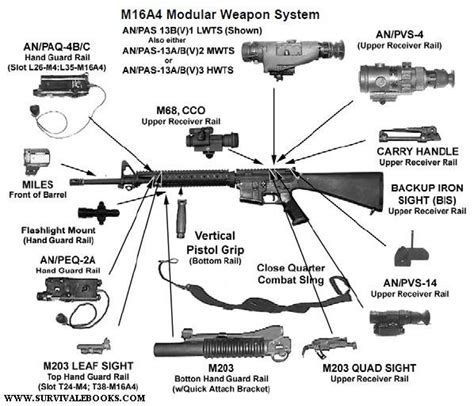 carbine parts diagram