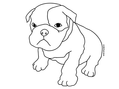 pitbull dog coloring pages coloring home