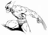 Wolverine Cartoon Pencil Drawing Clipart Comic Cliparts Inked Work Getdrawings Drawings Brad Green Random Stuff Paintingvalley Library Clipground Daniel Collection sketch template