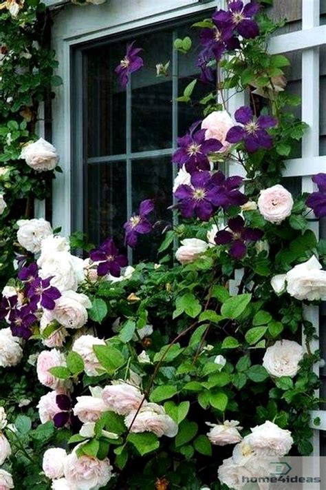 Pin By Stormy Rogers On House Exterior Rose Garden Design Garden