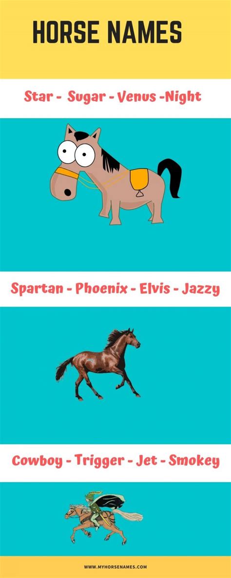popular horse names equine desire