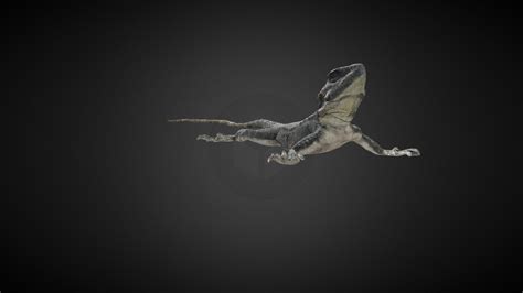 sling tail lizard animation 1 3d model by mirror 3d lab pkiriakou