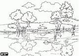 Paisagens Desenhos Natureza Colorir Paisagem sketch template