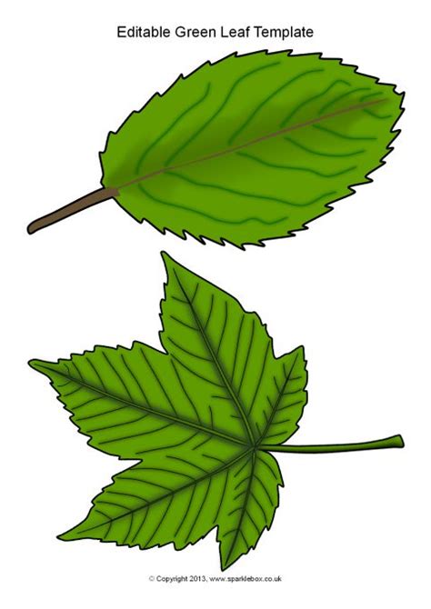 editable green leaf templates sb sparklebox