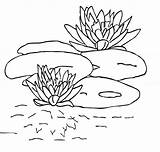 Coloring Pages Lily Pad Water Pads Printable Outline Kids Clipart Flower Drawing Library Bestcoloringpagesforkids Popular Related Books sketch template