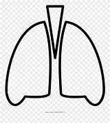 Lungs Pinclipart sketch template