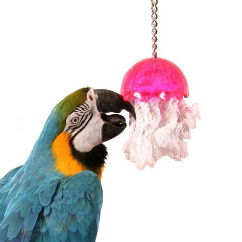 pet birds toys building choice enrichment  skills