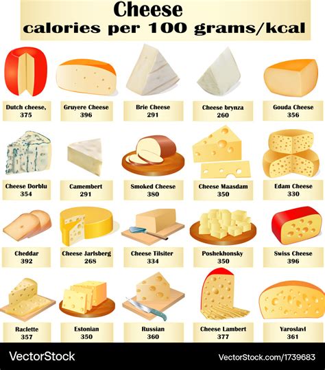 set   kinds  cheese royalty  vector image
