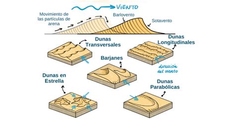 cuales son los tipos de dunas cidhma capacitaciones