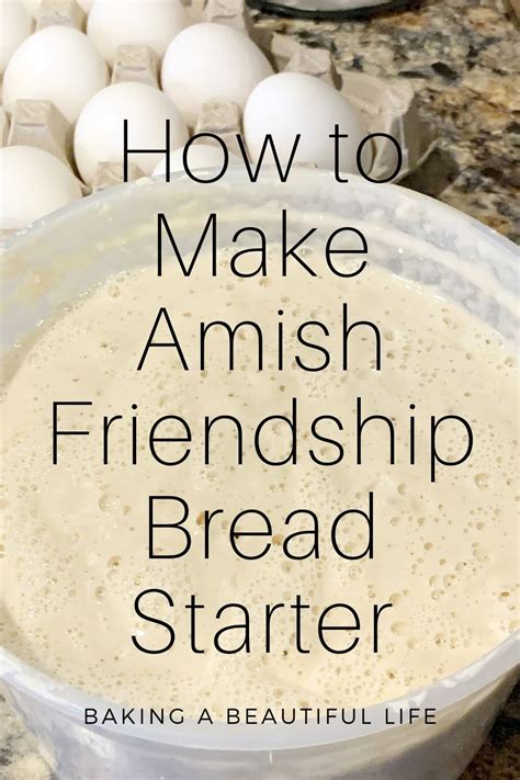 How To Make Your Own Amish Friendship Bread Starter Amy Marie