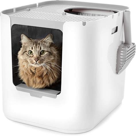 dog proof litter box     dogs   cat litter boxes