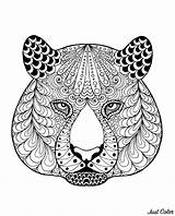 Coloring Tiger Pages Head Tigers Patterns Adult Tigre Adults Printable Tête Mandala Animals Motifs Avec sketch template