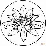 Lily Drawing Coloring Water Pages Pad Flower Patterns Printable Lilies Visit Related sketch template