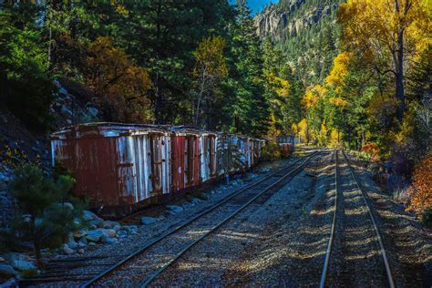 images tree forest track railroad train vehicle scenic