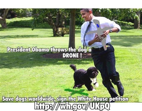accept drones   drone survey quiz la imc