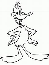 Daffy Looney Tunes sketch template