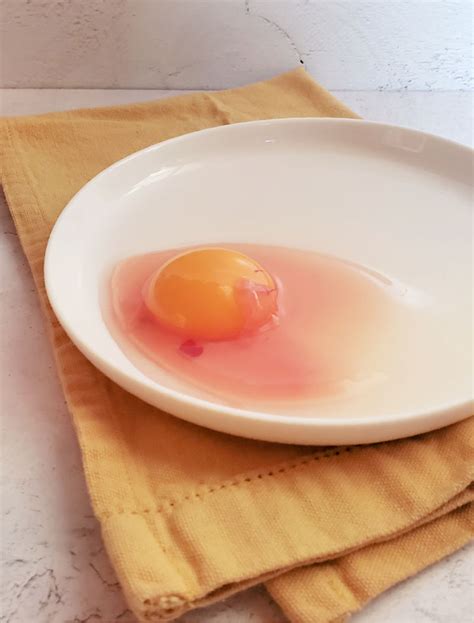 blood spots  fresh eggs fresh eggs daily  lisa