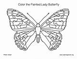 Lady Butterfly Painted Coloring Exploringnature sketch template