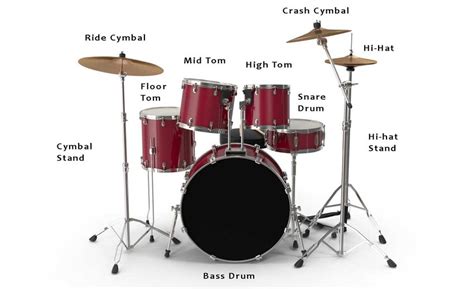components   standard drum kit   scientific diagram